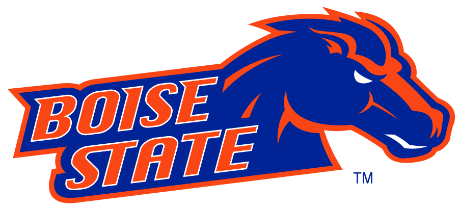 Boise State Broncos 2002-2012 Secondary Logo v9 DIY iron on transfer (heat transfer)